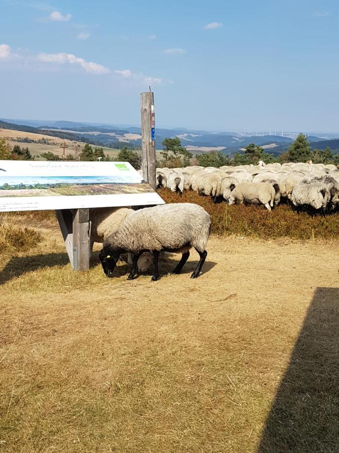 Fewos 4-Jahreszeiten Willingen  Εξωτερικό φωτογραφία